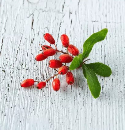 Berberine Natural Alternatives To Mounjaro