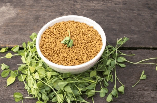 Fenugreek is Natural Alternatives To Mounjaro (Tirzepatide)