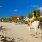 Top 10 Best Things to Do in Negril for an Unforgettable 2025 Vacation