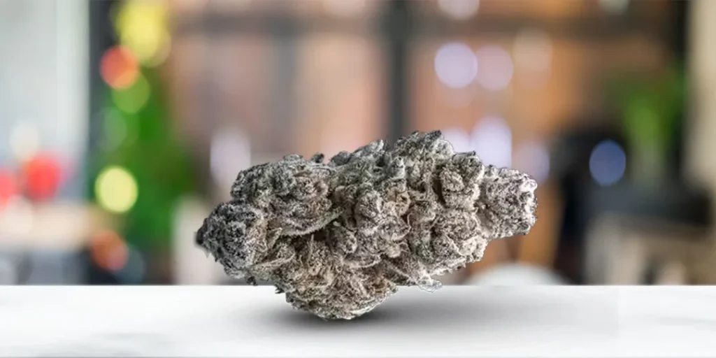 Glitter Bomb THCa Explained: Flavor, Effects, and Experience