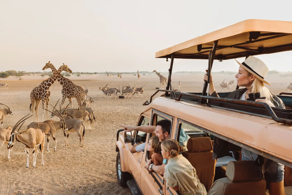 Experience Adventure with Morning Safari Tour in UAE