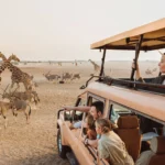 Experience Adventure with Morning Safari Tour in UAE