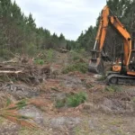 Hinz Logging & Land Clearing