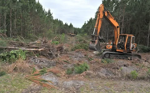 Hinz Logging & Land Clearing