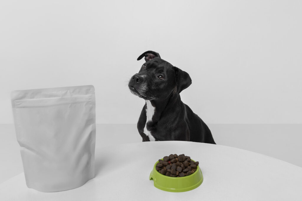 Revolutionary Pet Waste Management: How Modern Solutions Are Transforming Dog Ownership