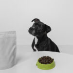 Revolutionary Pet Waste Management: How Modern Solutions Are Transforming Dog Ownership