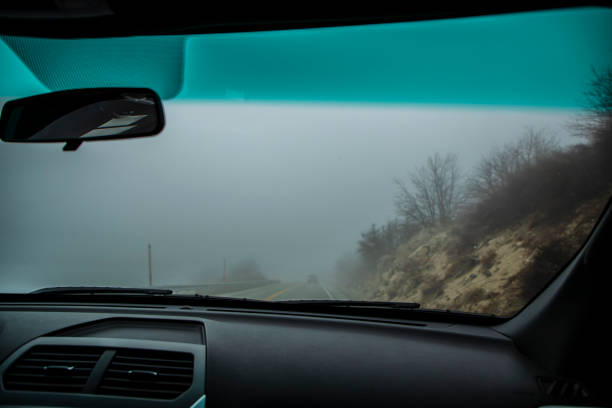 How Foggy Mornings Affect Visibility and the Role of Quality Tint
