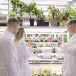 biofertilizer suppliers