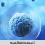 Advanced Stem Cell Therapy Singapore