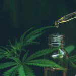 CBD Oil
