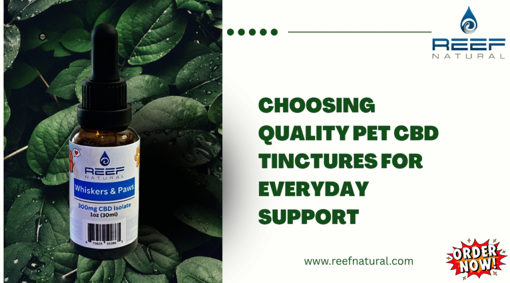pet CBD tinctures