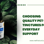 pet CBD tinctures