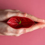 Vaginoplasty and Labiaplasty in Istanbul