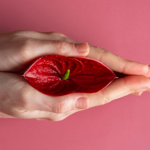 Vaginoplasty and Labiaplasty in Istanbul