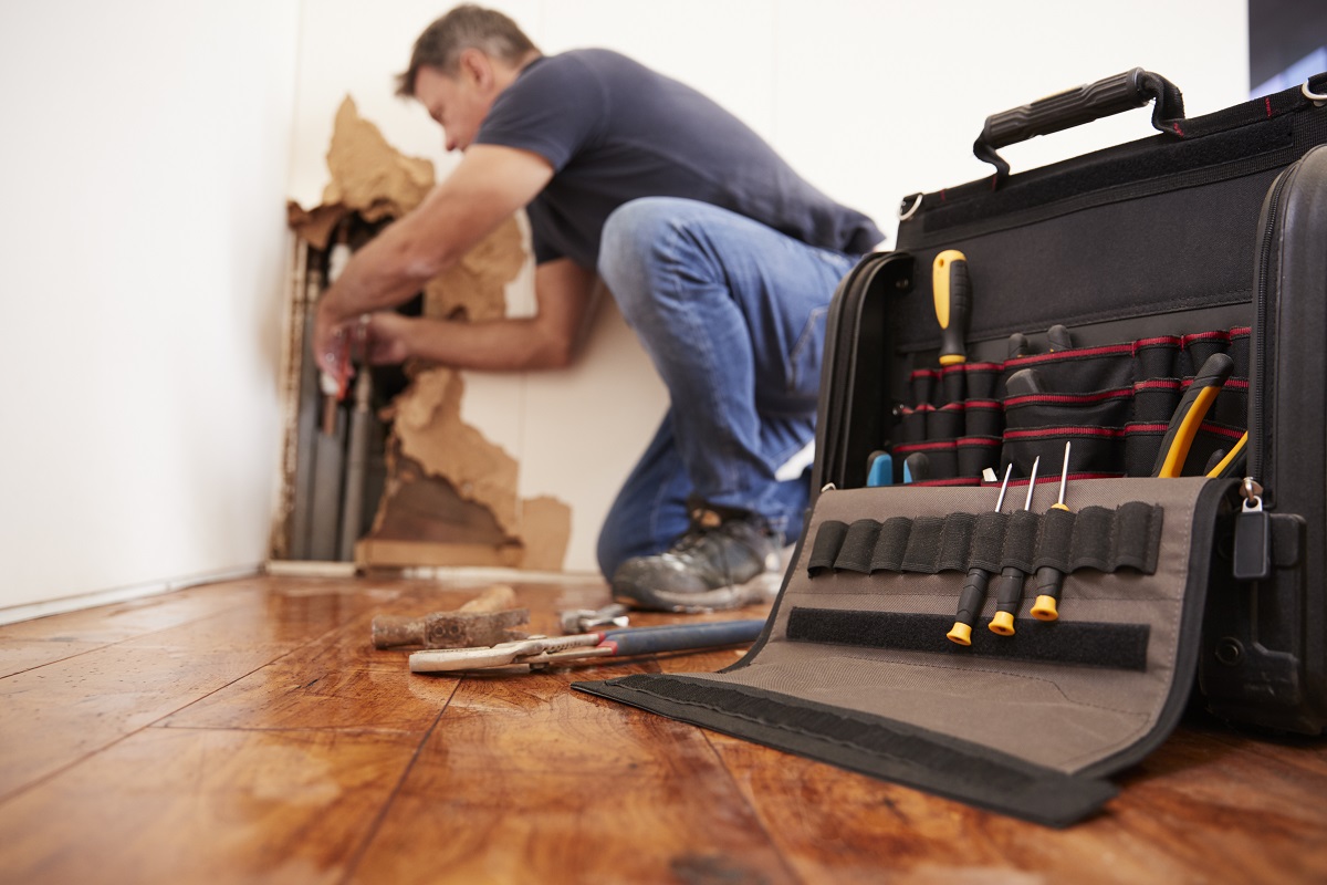 Maintenance Plan