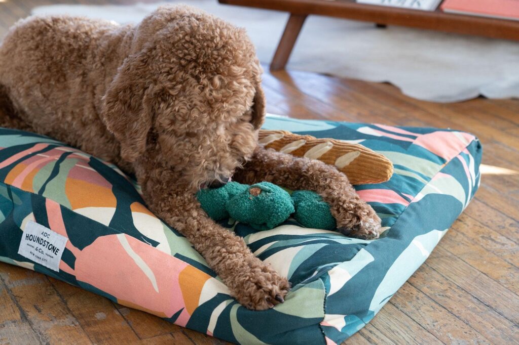 Washable Dog Beds on Sale