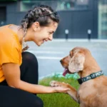 Buy Dog Online Lucknow