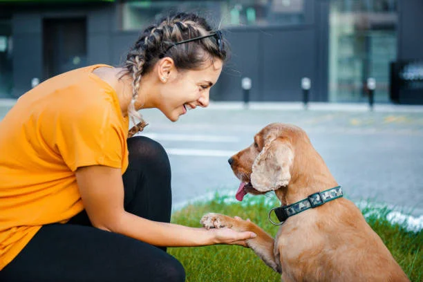 Buy Dog Online Lucknow