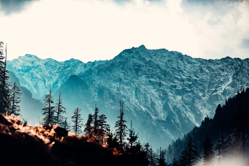 Himalayan Harmony: Explore Uttarakhand Tour Packages for Every Kind of Traveler