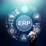 erp consultant​