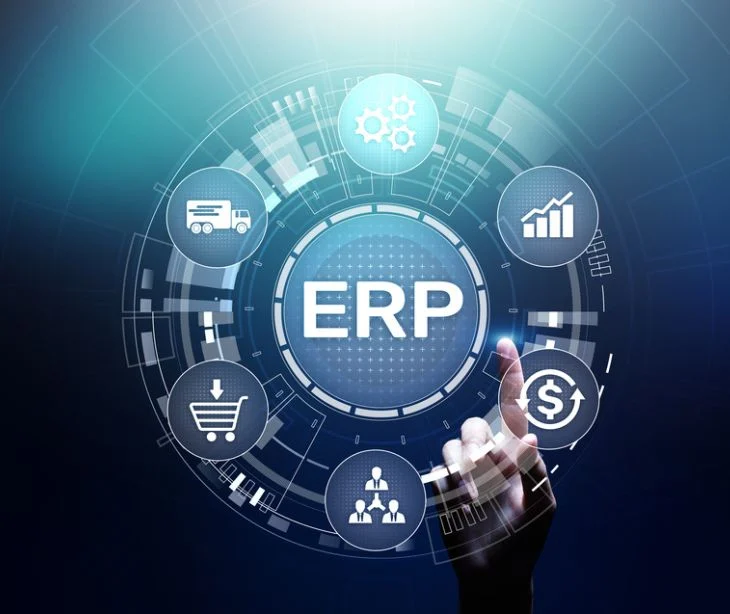 erp consultant