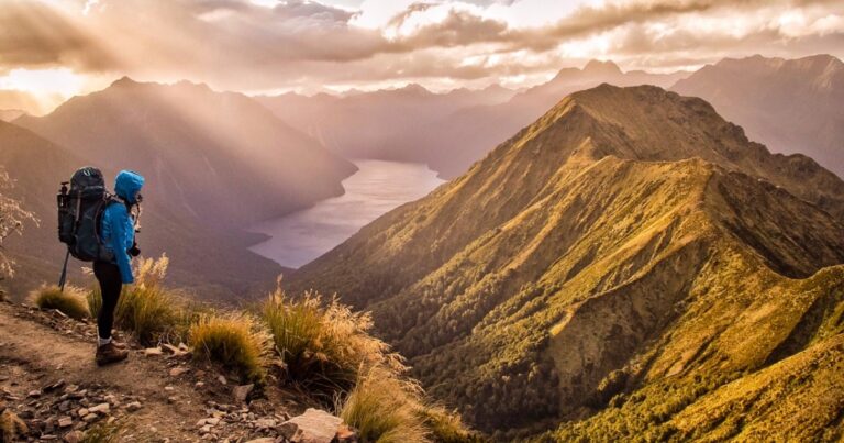 A Guide to the Best Lord of the Rings Tours in New Zealand