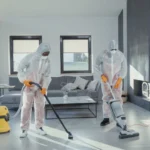 House Cleaning Services