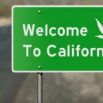 best weed vape brands